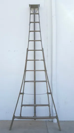 Tall Wooden Ladder