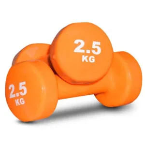 Vinyl Dumbbell 2.5kg  (2 Qty)