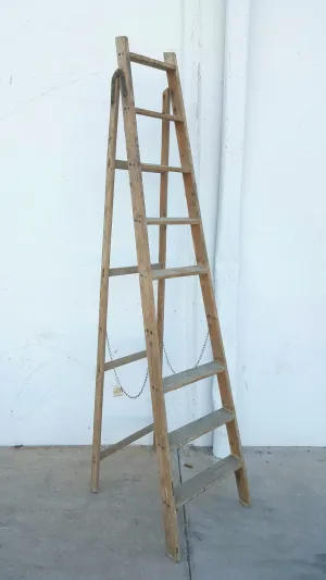 Wood Ladder